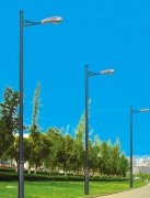市政單臂道蜜桃视频免费看网站廠家